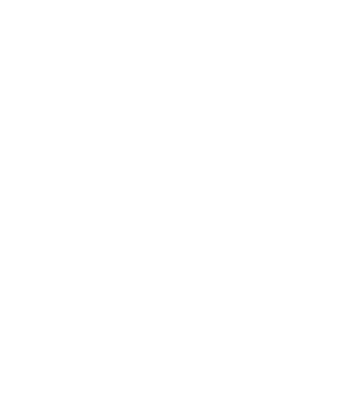 typo-500ans.png